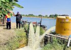 Manfaat Pompanisasi Bagi Petani NTB, Alhamdulillah Produksi Naik Tinggi