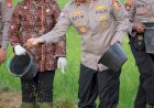 Dukung Ketahanan Pangan Nasional, Kakorbinmas Baharkam Polri Semai Padi di Kulonprogo