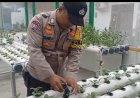 Bhabinkamtibmas Utan Kayu Selatan Dukung Program Asta Cita Ketahanan Pangan