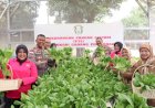 Polres Pekalongan Launching Tanam Sayur dan Budidaya Ikan