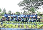 Danlanud Husein Sastranegara: Penanaman Alpukat dan Panen Berbagai Jenis Sayuran, Meningkatkan Ketersediaan Pangan Sehat dan Berkualitas