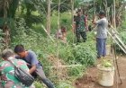 Dukung Program Ketahanan Pangan di Bidang Pertanian Koramil 07/Limo  Tanam Ratusan Bibit Pohon