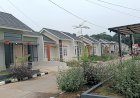 Tim PWI Tinjau Cepat Lokasi Rumah Subsidi Wartawan, Ketua Umum Apresiasi Komitmen Pemerintah