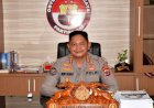 Polda NTT Gelar Operasi Premanisme, 878 Personel Dikerahkan: “Tidak Ada Tempat Bagi Preman di NTT”