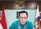 Papua Selatan Susun RPJMD, Kemendagri Beri Arah Sinkronisasi Kebijakan Pusat-Daerah
