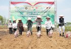 Polrestabes Semarang Ikuti Tanam Jagung Serentak Kuartal IV dan Peresmian Gudang Slog Polri