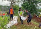 Polsek Wiradesa Pimpin Aksi Gotong Royong, Perkuat Tanggul Kritis Sungai di Wonokerto Bersama Warga