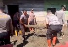 Polres Gayo Lues dan Brimob Polda Aceh Bersihkan Lumpur dan Material Kayu Pascabanjir Bandang