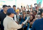 Cek Panen Raya di Karawang, Petani Antusias Bertemu Prabowo