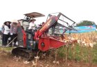 Kapolri-Ketua Komisi IV Panen Raya Jagung di Bekasi, Komitmen Dukung Ketahanan Pangan