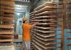 Rezeki Pengusaha Tempe dari Dapur MBG: Produksi Naik 100%, Kini Bisa Beli Mesin dan Rekrut Tetangga