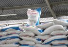Di Tengah Krisis Pupuk Global, Prabowo Justru Pangkas Harga 20% untuk Petani