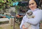 Keterwakilan Perempuan Minimal 30 Persen, Ormas G-Nesia : Keputusan MK Wajib Didukung