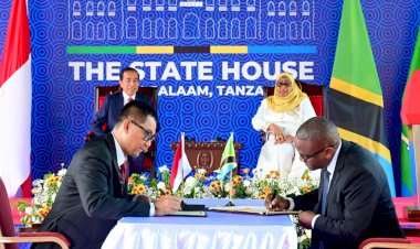 PLN Teken Kerjasama Kembangkan Ekosistem Ketenagalistrikan di Tanzania