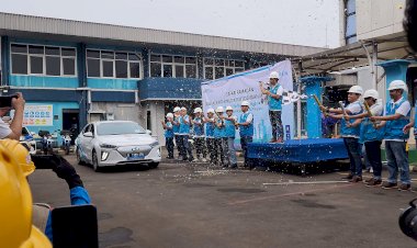 Masifkan Penggunaan Mobil Listrik, PLN Nyalakan 300 'Home Charging'