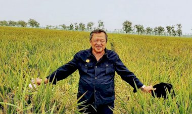 Perhiptani Minta Penyuluh Pertanian Kembali Ke UU No.16