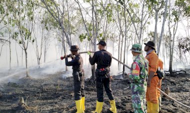 Personel Satbrimob Polda Sumsel Padamkan Api di Lahan Masyarakat