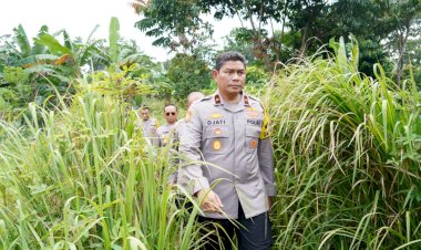 Dukung Ketahanan Pangan Nasional, Wakapolda Cek Kesiapan Lahan di SPN Polda Metro Jaya
