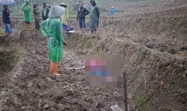 Diduga Akibat Kelelahan, Seorang Warga di Kecamatan Kandangserang Meninggal Saat Mengerjakan Sawah