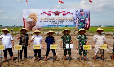 Saling Dukung Antar Kementerian/Lembaga, Bapanas dan Bulog Berkomitmen Serap Hasil Panen Petani Dengan Harga Tinggi
