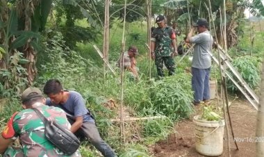 Dukung Program Ketahanan Pangan di Bidang Pertanian Koramil 07/Limo  Tanam Ratusan Bibit Pohon
