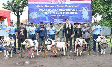 Jaga Kearifan Lokal, Lanud Husein Sastranegara Gelar Kontes Patok Domba dan Kambing