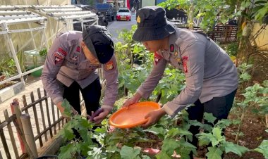 Satuan Brimob Polda Metro Jaya Dukung Ketahanan Pangan Melalui Program Budidaya Tanaman dan Perikanan