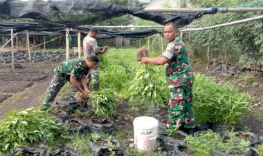 Kodim 0501/JP Sukses Budidayakan Sayur Mayur di Lahan Urban Farming