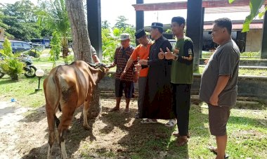 Maknai Iduladha 1446 H, Kapolda Kalteng Sumbang Seekor Sapi untuk Kurban PWI