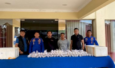 Polairud Baharkam Polri Gagalkan Penyelundupan 11.543 Ekor Benih Lobster di Sukabumi