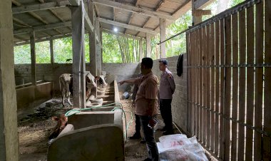Polsek Musuk Tangani Kasus Pencurian Sapi, Warga Diimbau Tingkatkan Kewaspadaan Lingkungan