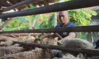 Kisah Inspiratif Polisi di Bekasi Bina Peternakan Kambing dan Unggas, Bantu Warga Naik Kelas Ekonomi