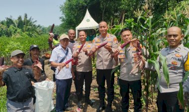 Polri Panen Raya Jagung di Eco Wisata Kapuk Muara, Wujud Nyata Ketahanan Pangan Nasional