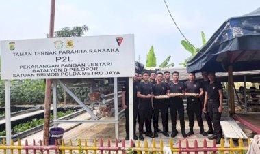 Brimob Polda Metro Jaya Budidaya Ayam Petelur di Lahan P2L, Dukung Program Ketahanan Pangan Nasional