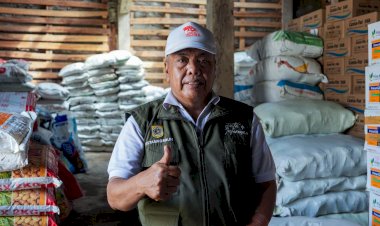 Pupuk Makin Murah, Panen Melimpah: Petani Senyum Sumringah