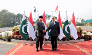 Prabowo Tegaskan Indonesia-Pakistan Dukung Kemerdekaan Palestina, Serukan Two-State Solution