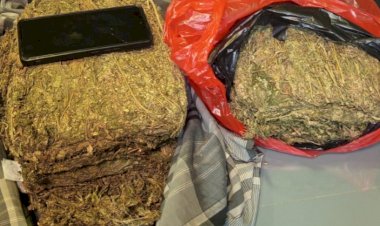 Polda Metro Jaya Menggagalkan Peredaran 4,3 Kg Ganja di Wilayah Depok