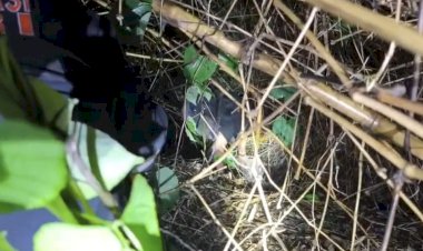 Potongan Tubuh Korban Mutilasi dalam Freezer Ditemukan di Bogor