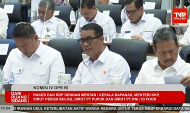 Pemerintah: Ketersediaan Jagung, Gula, hingga Telur Ayam Diproyeksikan Surplus Jelang El Nino “Godzilla”