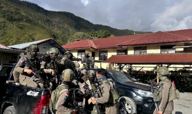 Sempat Melawan Petugas, Satu Anggota KKB Puncak Jaya Berhasil Dilumpuhkan Satgas Ops Damai Cartenz