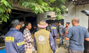 Bareskrim dan PPNS Kemenhut Geledah Gudang Satwa Dilindungi di Bekasi, 11 Sanca Hijau Papua Disita