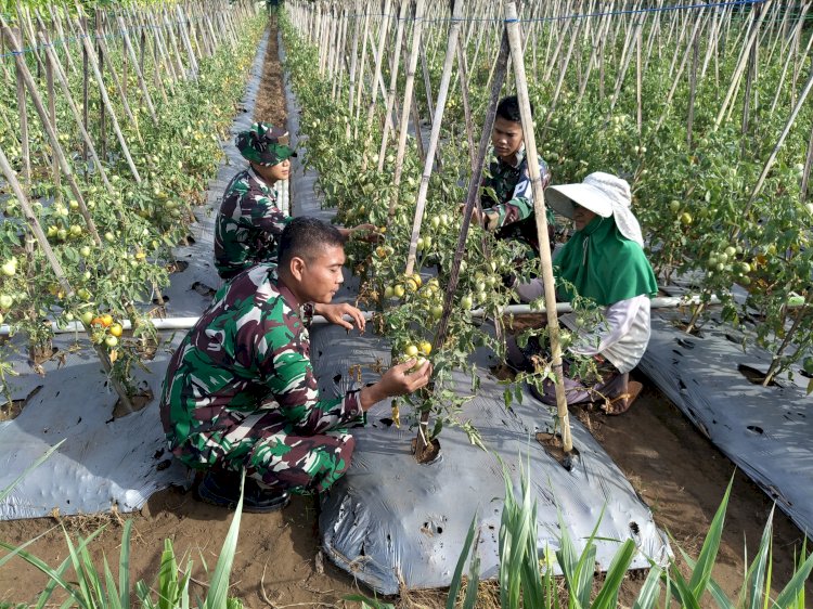 Keberadaan Food Estate di Lahan Aset TNI AU di Cianjur Mendapat Respons Positif  Masyarakat