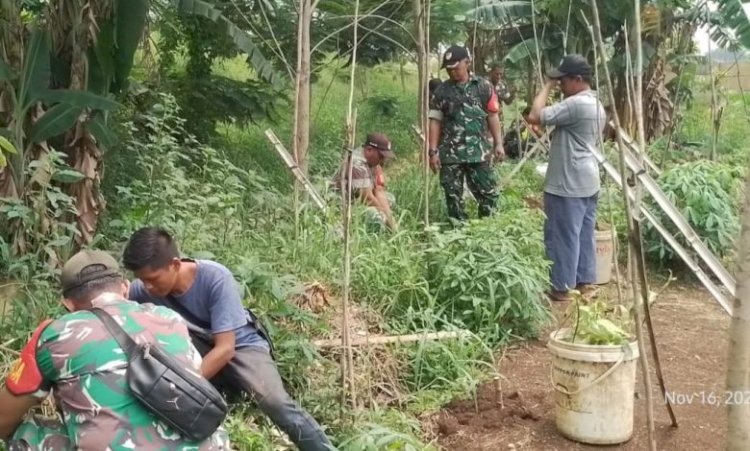 Dukung Program Ketahanan Pangan di Bidang Pertanian Koramil 07/Limo  Tanam Ratusan Bibit Pohon