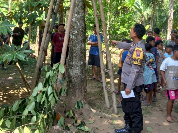 Warga Desa Menjangan Ditemukan Meninggal, Diduga Akibat Terjatuh dari Pohon Nangka