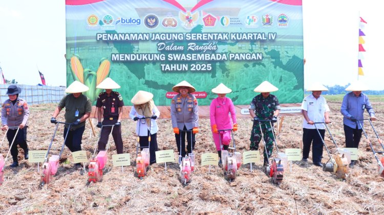 Wujud Nyata Dukung Swasembada Pangan, Penanaman Jagung Serentak Kuartal IV di Pekalongan