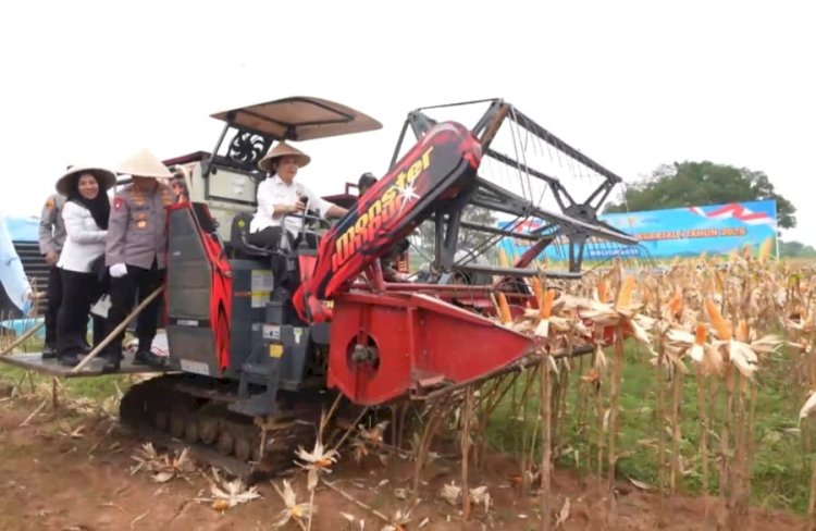 Kapolri-Ketua Komisi IV Panen Raya Jagung di Bekasi, Komitmen Dukung Ketahanan Pangan