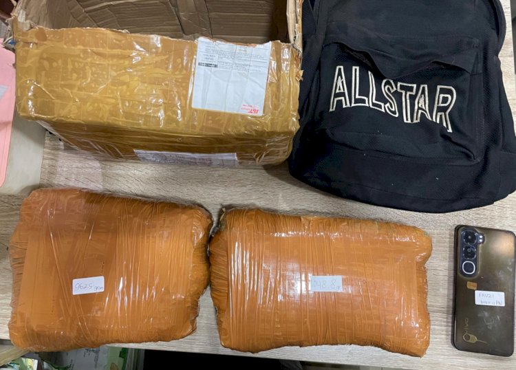 Polda Metro Jaya Menggagalkan  Peredaran Ganja 2Kg di Depok, Satu Tersangka Diamankan
