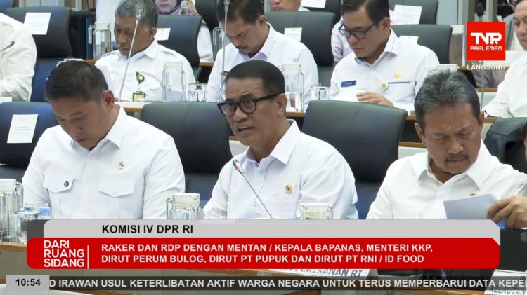 Pemerintah: Ketersediaan Jagung, Gula, hingga Telur Ayam Diproyeksikan Surplus Jelang El Nino “Godzilla”
